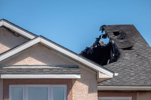 Top rated local Fire Damage Removal specialists in Naples, FL